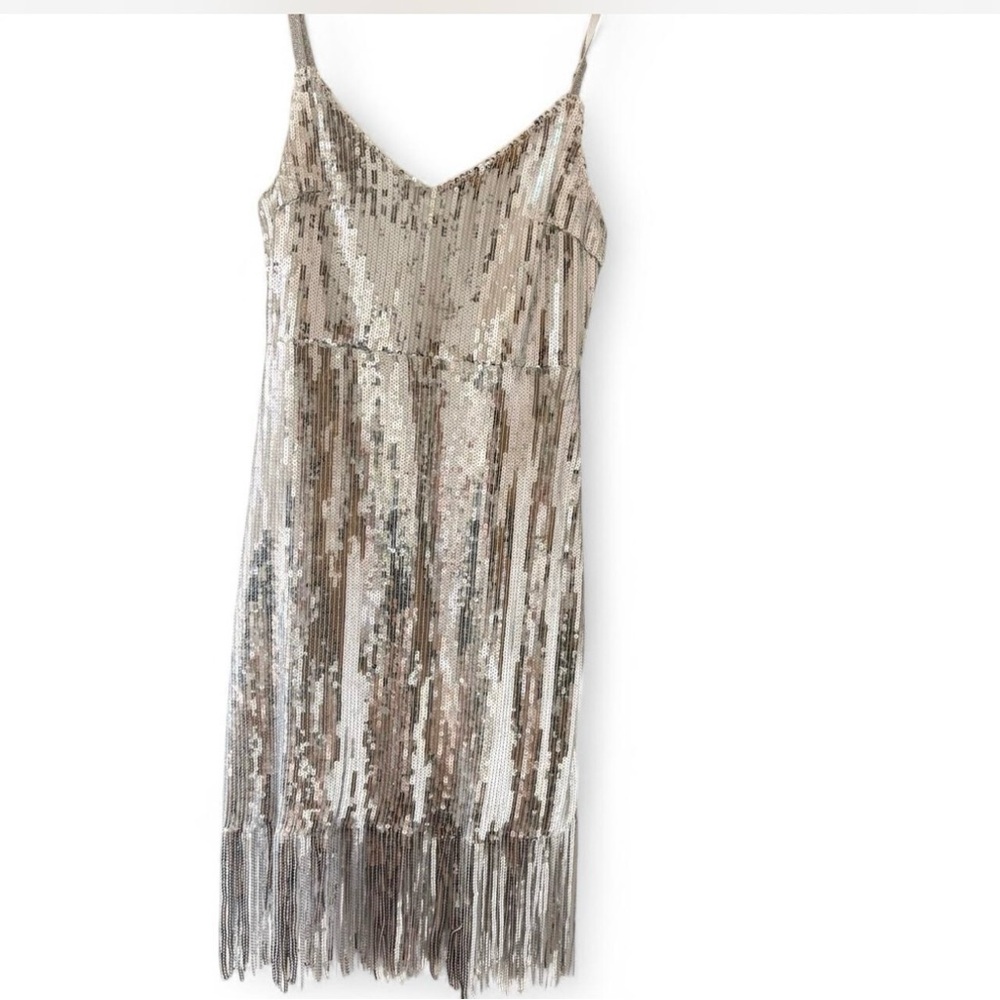 Sequin Fringe Dress in Silver and Cream
